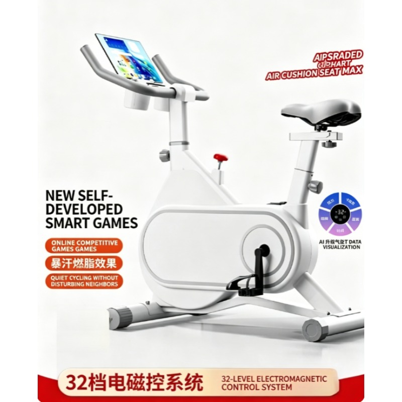 Exercise Bike Magnetic Resistance - Silent Magnetic Resistance Spinning Bike Compact