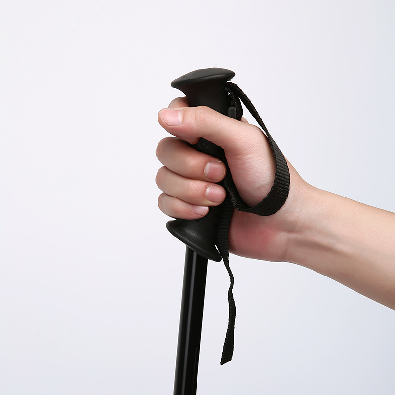 2-section Adjustable Telescopi - огляд і ціна Hiking